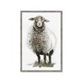 Picture of Watercolour Sheep  _GroupedProduct_Rectangle_Portrait_Framed_Matted_