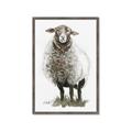 Picture of Watercolour Sheep  _GroupedProduct_Rectangle_Portrait_Framed_Matted_