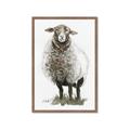 Picture of Watercolour Sheep  _GroupedProduct_Rectangle_Portrait_Framed_Matted_