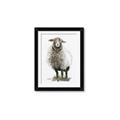 Picture of Watercolour Sheep  _GroupedProduct_Rectangle_Portrait_Framed_Matted_