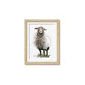 Picture of Watercolour Sheep  _GroupedProduct_Rectangle_Portrait_Framed_Matted_