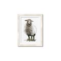 Picture of Watercolour Sheep  _GroupedProduct_Rectangle_Portrait_Framed_Matted_