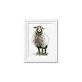 Picture of Watercolour Sheep  _GroupedProduct_Rectangle_Portrait_Framed_Matted_