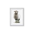 Picture of Watercolour Sheep  _GroupedProduct_Rectangle_Portrait_Framed_Matted_