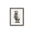 Picture of Watercolour Sheep  _GroupedProduct_Rectangle_Portrait_Framed_Matted_