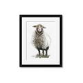 Picture of Watercolour Sheep  _GroupedProduct_Rectangle_Portrait_Framed_Matted_
