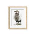 Picture of Watercolour Sheep  _GroupedProduct_Rectangle_Portrait_Framed_Matted_