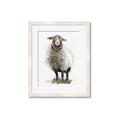 Picture of Watercolour Sheep  _GroupedProduct_Rectangle_Portrait_Framed_Matted_
