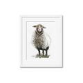 Picture of Watercolour Sheep  _GroupedProduct_Rectangle_Portrait_Framed_Matted_