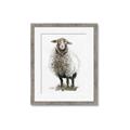 Picture of Watercolour Sheep  _GroupedProduct_Rectangle_Portrait_Framed_Matted_