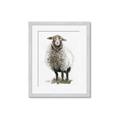 Picture of Watercolour Sheep  _GroupedProduct_Rectangle_Portrait_Framed_Matted_