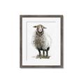 Picture of Watercolour Sheep  _GroupedProduct_Rectangle_Portrait_Framed_Matted_