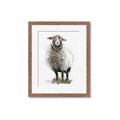 Picture of Watercolour Sheep  _GroupedProduct_Rectangle_Portrait_Framed_Matted_