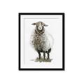 Picture of Watercolour Sheep  _GroupedProduct_Rectangle_Portrait_Framed_Matted_