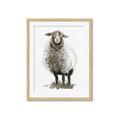 Picture of Watercolour Sheep  _GroupedProduct_Rectangle_Portrait_Framed_Matted_