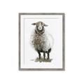 Picture of Watercolour Sheep  _GroupedProduct_Rectangle_Portrait_Framed_Matted_