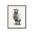 Picture of Watercolour Sheep  _GroupedProduct_Rectangle_Portrait_Framed_Matted_