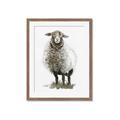 Picture of Watercolour Sheep  _GroupedProduct_Rectangle_Portrait_Framed_Matted_