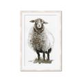 Picture of Watercolour Sheep  _GroupedProduct_Rectangle_Portrait_Framed_Matted_