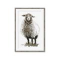 Picture of Watercolour Sheep  _GroupedProduct_Rectangle_Portrait_Framed_Matted_
