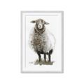 Picture of Watercolour Sheep  _GroupedProduct_Rectangle_Portrait_Framed_Matted_