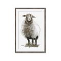 Picture of Watercolour Sheep  _GroupedProduct_Rectangle_Portrait_Framed_Matted_