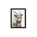 Picture of Watercolour Ram  _GroupedProduct_Rectangle_Portrait_Framed_Matted_