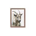 Picture of Watercolour Ram  _GroupedProduct_Rectangle_Portrait_Framed_Matted_