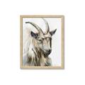Picture of Watercolour Ram  _GroupedProduct_Rectangle_Portrait_Framed_Matted_