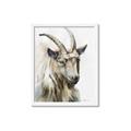 Picture of Watercolour Ram  _GroupedProduct_Rectangle_Portrait_Framed_Matted_