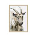 Picture of Watercolour Ram  _GroupedProduct_Rectangle_Portrait_Framed_Matted_
