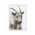 Picture of Watercolour Ram  _GroupedProduct_Rectangle_Portrait_Framed_Matted_