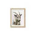Picture of Watercolour Ram  _GroupedProduct_Rectangle_Portrait_Framed_Matted_
