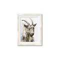 Picture of Watercolour Ram  _GroupedProduct_Rectangle_Portrait_Framed_Matted_