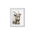 Picture of Watercolour Ram  _GroupedProduct_Rectangle_Portrait_Framed_Matted_