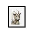 Picture of Watercolour Ram  _GroupedProduct_Rectangle_Portrait_Framed_Matted_