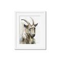 Picture of Watercolour Ram  _GroupedProduct_Rectangle_Portrait_Framed_Matted_