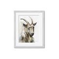 Picture of Watercolour Ram  _GroupedProduct_Rectangle_Portrait_Framed_Matted_