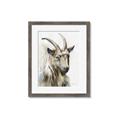 Picture of Watercolour Ram  _GroupedProduct_Rectangle_Portrait_Framed_Matted_