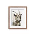 Picture of Watercolour Ram  _GroupedProduct_Rectangle_Portrait_Framed_Matted_