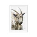 Picture of Watercolour Ram  _GroupedProduct_Rectangle_Portrait_Framed_Matted_