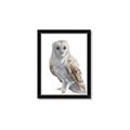 Picture of Watercolour Owl  _GroupedProduct_Rectangle_Portrait_Framed_Matted_