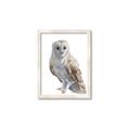 Picture of Watercolour Owl  _GroupedProduct_Rectangle_Portrait_Framed_Matted_
