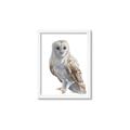 Picture of Watercolour Owl  _GroupedProduct_Rectangle_Portrait_Framed_Matted_