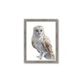 Picture of Watercolour Owl  _GroupedProduct_Rectangle_Portrait_Framed_Matted_