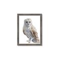 Picture of Watercolour Owl  _GroupedProduct_Rectangle_Portrait_Framed_Matted_