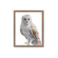 Picture of Watercolour Owl  _GroupedProduct_Rectangle_Portrait_Framed_Matted_