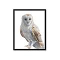 Picture of Watercolour Owl  _GroupedProduct_Rectangle_Portrait_Framed_Matted_