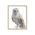 Picture of Watercolour Owl  _GroupedProduct_Rectangle_Portrait_Framed_Matted_