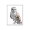 Picture of Watercolour Owl  _GroupedProduct_Rectangle_Portrait_Framed_Matted_